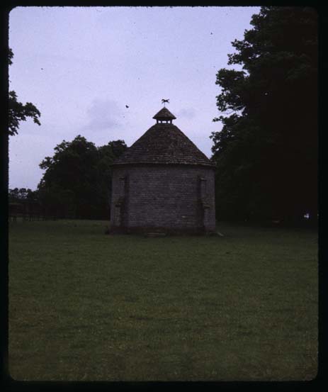 The dovecote, One Hung Hungarian by Willis Quick