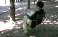 Author in park chair, back to us, reading