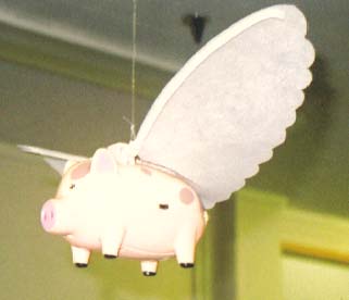 Otago pink Pigasus in flight