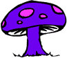 purple mushroom with pink polka-dots