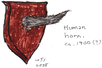 Human horn, ca. 1900(?)  WJS 2008