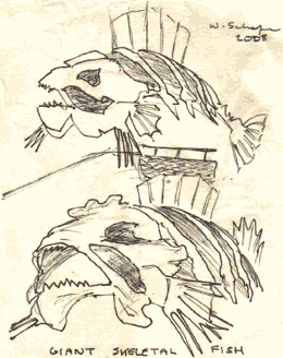 Giant Skeletal Fish-- W. Schafer 2008