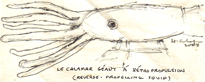 Le Calamar Geaut a Retro Propulsion: reverse-propelling squid