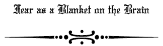 Fear as a Blanket on the Brain