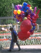 It's up, up & away for poet Purr It's up, up & away for poet Purr