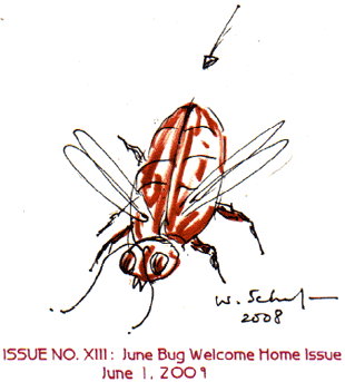 Issue 13 june Bug Welcome Home Issue june 1 2009