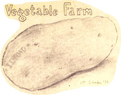 Vegetable farm- a potato -  copyright Schafer 1972